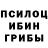 Псилоцибиновые грибы мицелий Irina Gruber