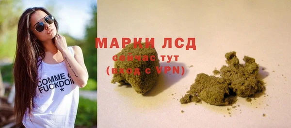 гидра Нея
