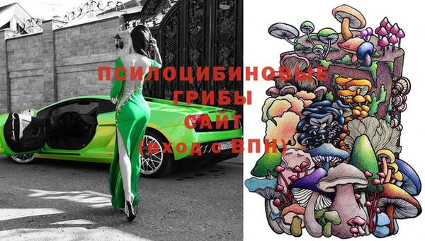 гидра Нея