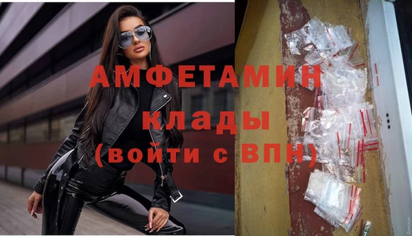 гидра Нея