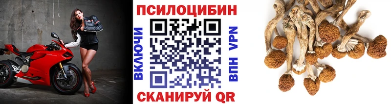 где можно купить   Сычёвка  Галлюциногенные грибы ЛСД 